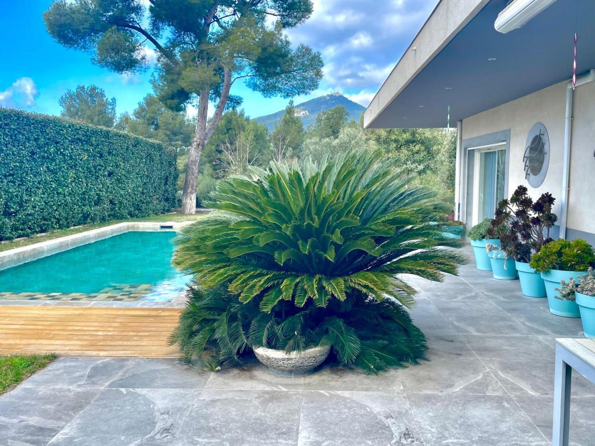 Chambre Luxe Dans Villa De Standing Avec Piscine, Acces Discret Et Independant, Terrasse Arboree Et Parking Prive Ла-Валетт-дю-Вар Екстер'єр фото
